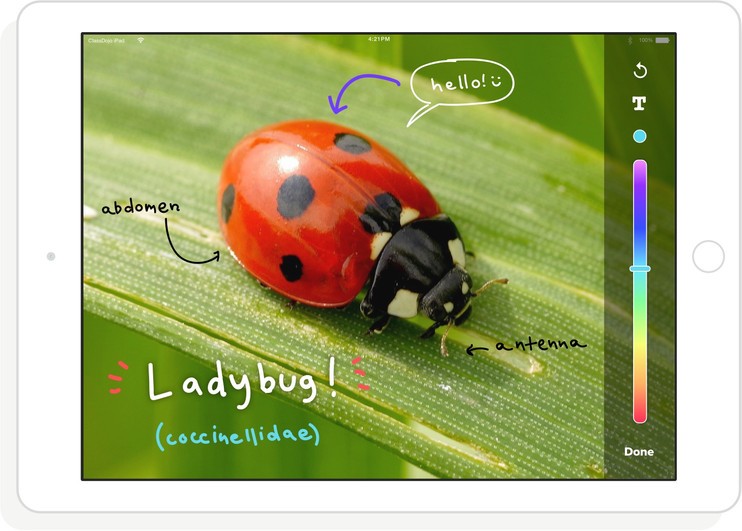 Tablet showing a ladybug picture